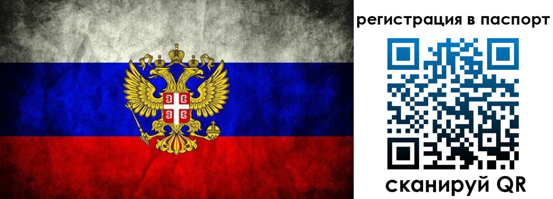 прописка законно в Элисте